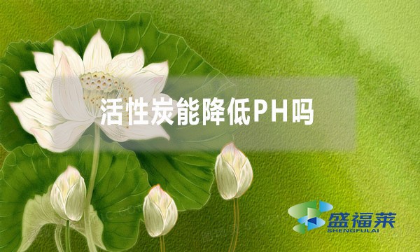 活性炭能降低PH嗎？為什么？